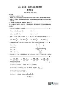 2026年上海市嘉定中考一模数学试题_(含答案_)