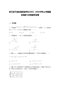浙江省宁波东海实验学校2025--2026学年上学期期末调研七年级数学试卷（含答案解析）