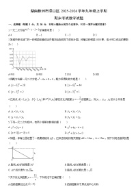 2025-2026学年湖南株洲市渌口区九年级上学期期末考试数学试卷（学生版）