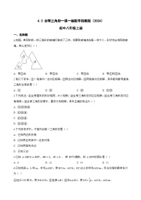 初中数学湘教版（2024）八年级上册（2024）4.3 全等三角形达标测试