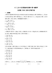 北京版（2024）七年级下册（2024）5.2 二元一次方程组和它的解课后测评