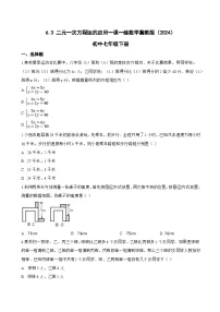 冀教版（2024）七年级下册（2024）二元一次方程组的应用练习