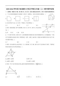 2025-2026学年四川省成都市成华区成都七中英才学校九年级上学期期中数学_(含答案_)试卷