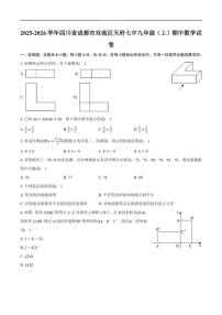 2025-2026学年四川省成都市双流区天府第七中学九年级上学期期中数学_(含答案_)试卷
