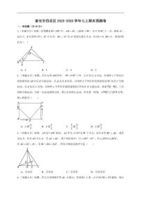 2025-2026学年山东省泰安市岱岳区七年级上学期数学期末预测卷_(含答案_)