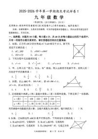2025-2026学年福建漳州市漳浦县九年级第一学期期末监测数学试卷（含答案）