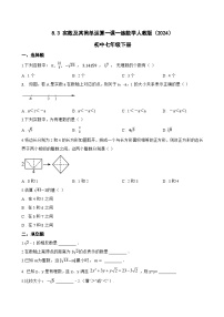 人教版（2024）实数及其简单运算复习练习题
