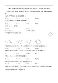 2025-2026学年河南省洛阳市嵩县上学期九年级期中数学试题_(含答案_)