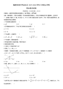 2025-2026学年福建省漳州市诏安县八年级上学期期末数学试卷（学生版）