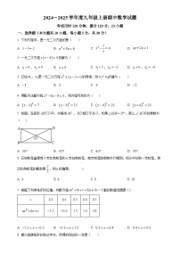 广东省茂名市茂南一中上学期九年级期中考试数学试题（原卷版）-A4