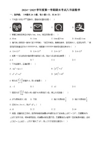 广东省汕头市潮阳实验学校八年级上学期期末考试数学试题（原卷版）-A4