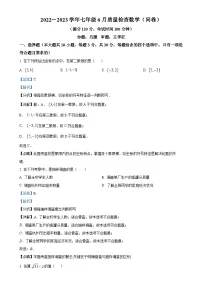广东省广州市广州大学附属中学七年级下学期6月月考数学试题（解析版）-A4