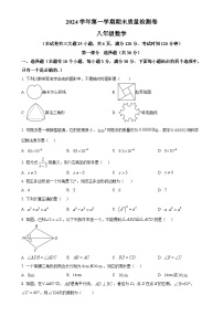 广东省广州市增城区八年级上学期1月期末数学试题（原卷版）-A4