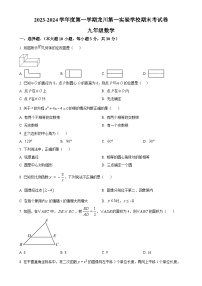 广东省河源市龙川第一实验学校上学期九年级数学期末考试卷（原卷版）-A4