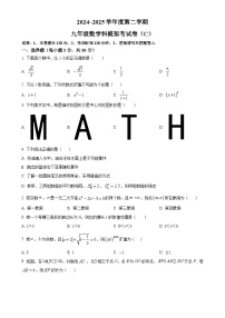 2025年广东省汕头市潮南区陈店公立学校等中考一模数学试题（原卷版）-A4