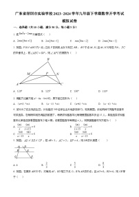 广东省深圳市实验学校九年级下学期开学考试数学模拟试题（原卷版）-A4
