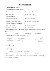 广东省佛山市南海实验学校2022-2023 学年七年级下学期第二次月考数学试题（原卷版）-A4