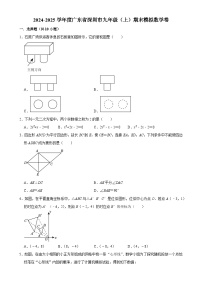 广东省深圳市九年级上学期期末模拟数学试卷-A4