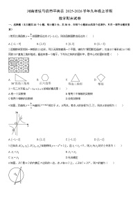 2025-2026学年河南省驻马店市平舆县九年级上学期期末数学试卷（学生版）
