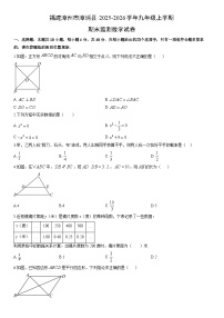 2025-2026学年福建漳州市漳浦县九年级上学期期末监测数学试卷（学生版）