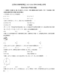 2025-2026学年江苏省无锡市新吴区九年级上学期期末学业水平数学试卷（学生版）
