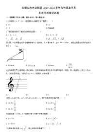 2025-2026学年安徽安庆市宿松县九年级上学期期末考试数学试卷（学生版）