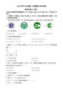 广东省广州市华南师范大学附属中学2022~2023学年八年级上学期期末考试数学试卷（原卷版）-A4