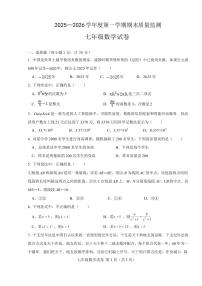 安徽六安市舒城县2025-2026学年上学期期末质量监测七年级 数学试卷（PDF版）