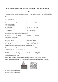 河北省石家庄市赵县2025-2026学年七年级上学期期末 数学试卷（A卷）