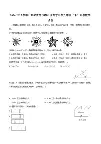 山东省青岛市育才中学2024-2025学年九年级下学期开学考试 数学试题