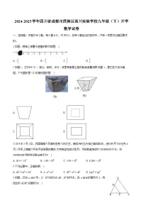四川省成都市武侯区西川实验学校2024-2025学年九年级下学期开学 数学试卷