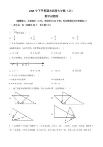 浙江金华市东阳市2025-2026学年七年级上学期2月期末数学试题（试卷+解析）