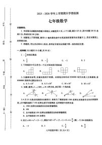 河南平顶山市郏县2025-2026学年七年级数学上学期期末学情检测