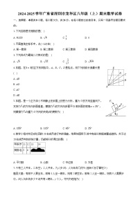 广东省深圳市龙华区上学期八年级期末数学试卷-A4