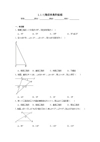 北师大版（2024）八年级下册（2024）1  三角形内角和定理精品当堂达标检测题
