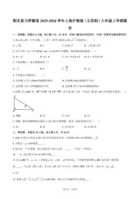 2025-2026学年期末复习押题卷上海沪教版（五四制）八年级上学期数学（含答案）