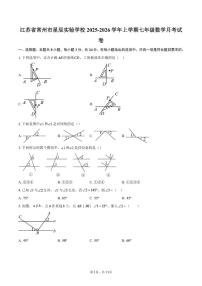 2025-2026学年江苏省常州市星辰实验学校上学期七年级数学月考试卷（含答案）