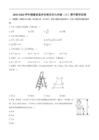 2025-2026学年福建省泉州市南安市九年级上学期期中数学_(含答案_)试卷