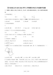 2025-2026学年四川省凉山州上学期期末考试七年级数学_(含答案_)试题