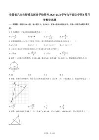 2025-2026学年安徽省六安市舒城县部分学校联考九年级上学期1月月考数学试题（含答案）