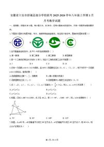 2025-2026学年安徽省六安市舒城县部分学校联考八年级上学期1月月考数学试题(含答案)
