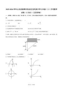 2025-2026学年山东省淄博市张店区龙凤苑中学七年级（上）月考数学（1月份）（五四学制）试卷