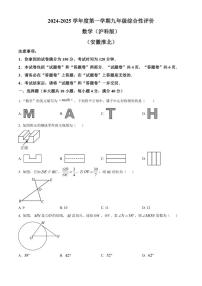2024-2025学年安徽省淮北市部分学校九年级上学期1月期末数学试题（含答案）