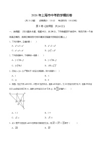 2026年上海市中考数学模拟卷