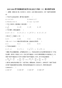 2025-2026学年湖南省张家界市永定区八年级（上）期末数学试卷-自定义类型