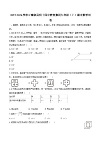 2025-2026学年云南省昆明十四中教育集团九年级（上）期末数学试卷-自定义类型