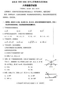 福建漳州市诏安县2025~2026学年八年级上学期质量检测八年级数学卷（期末）