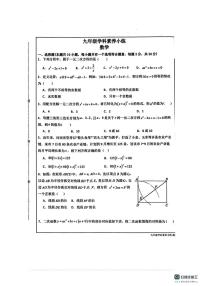 河南济源市济水一中2025-2026学年上学期九年级学科素养小练数学（期末）