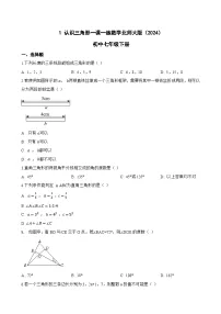 初中认识三角形课后练习题