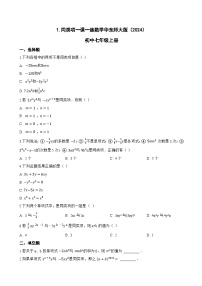 初中数学华东师大版（2024）七年级上册（2024）同类项课时练习